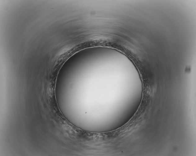 X0000092020869200709131554