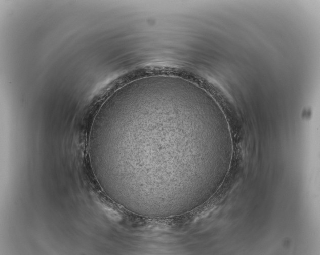 X0000092020870200709131554