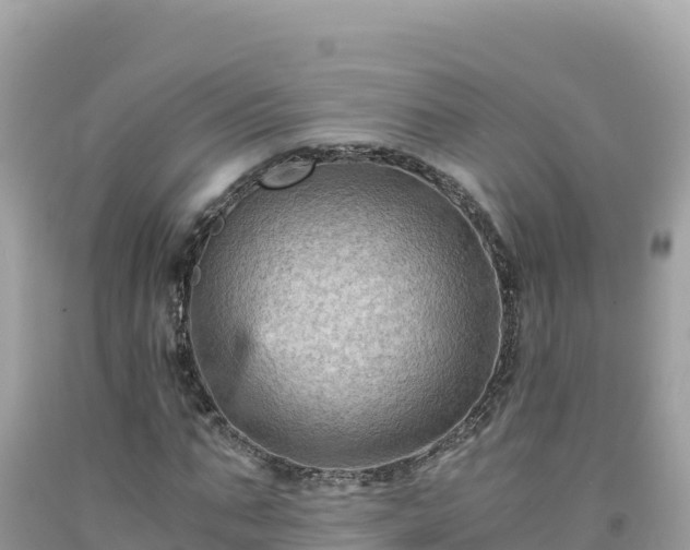 X0000092020871200709131554