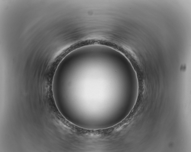 X0000092020872200709131554