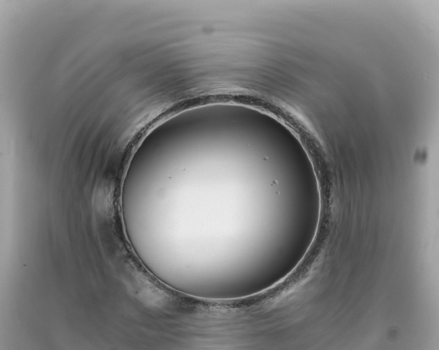 X0000092020873200709131554