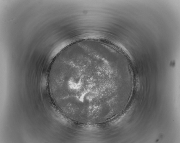 X0000092020874200709131554