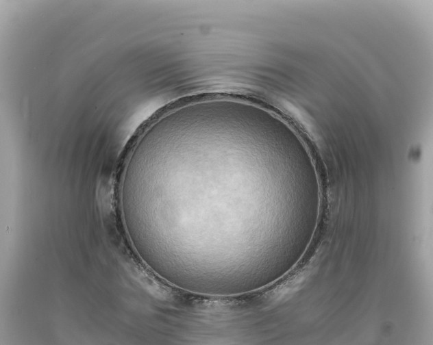 X0000092020875200709131554