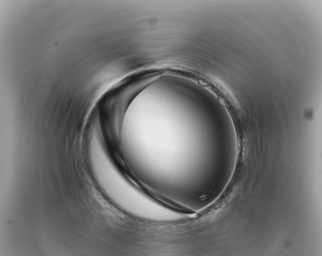 X0000092020876200709131554