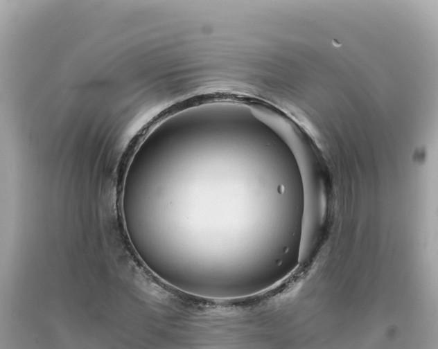 X0000092020877200709131554