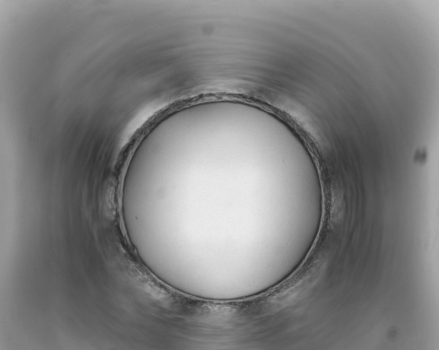 X0000092020878200709131554