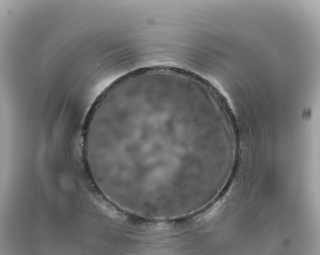 X0000092020879200709131554