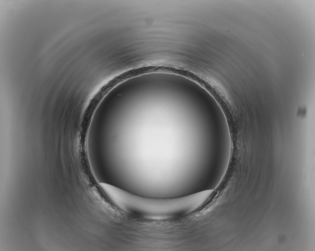X0000092020880200709131554