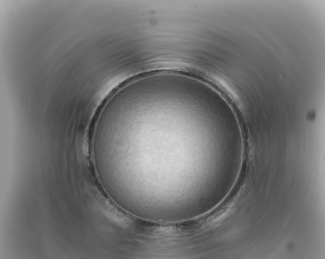X0000092020883200709131554