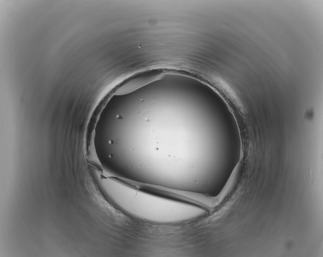 X0000092020884200709131554