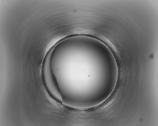 X0000092020885200709131554