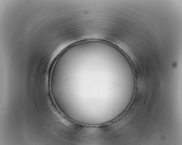 X0000092020886200709131554