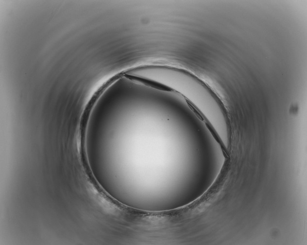 X0000092020888200709131554