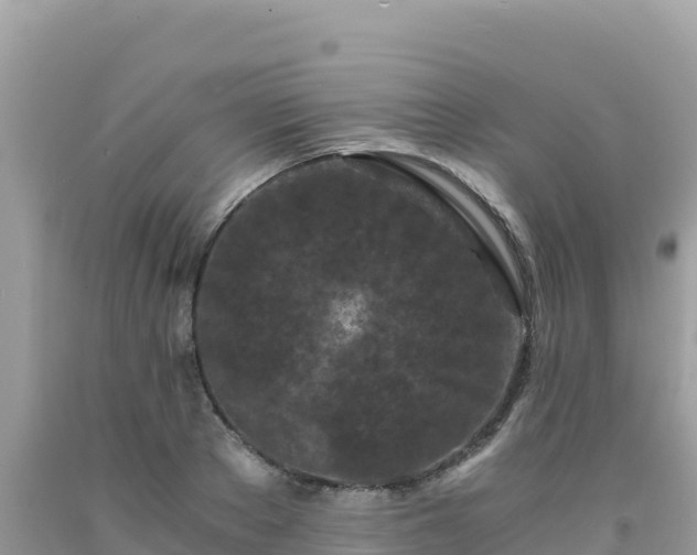 X0000092020889200709131554