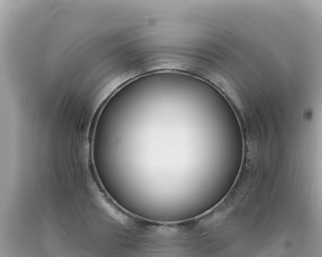X0000092020890200709131554