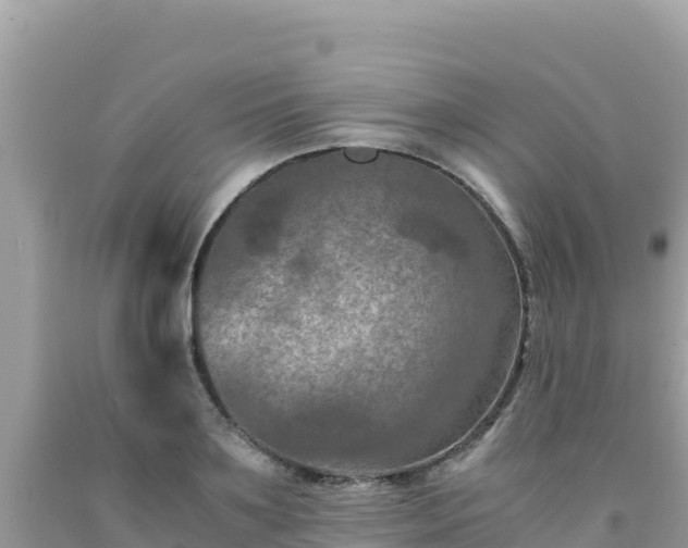 X0000092020891200709131554
