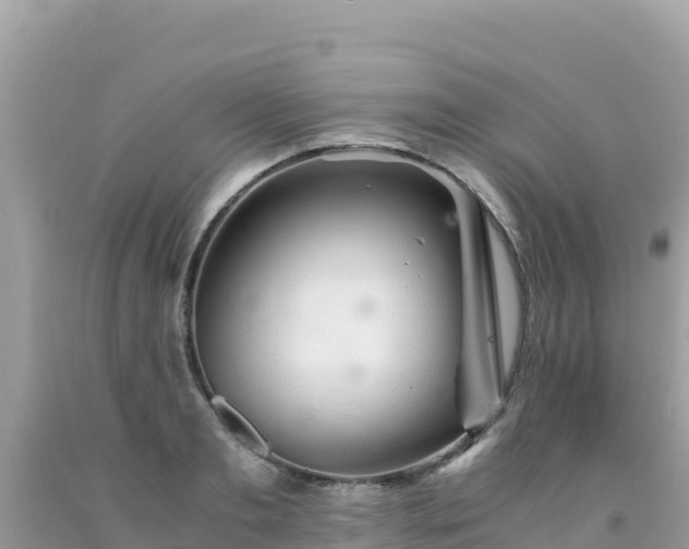 X0000092020893200709131553