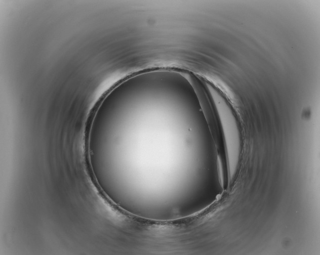 X0000092020894200709131553