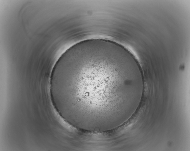 X0000092020895200709131553