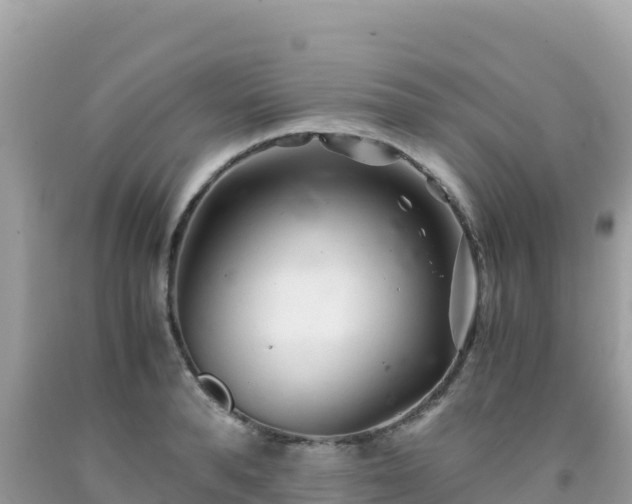 X0000092020896200709131553