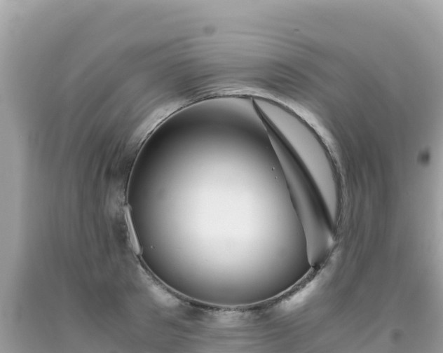 X0000092020897200709131553