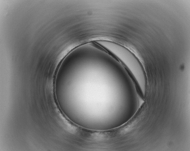 X0000092020898200709131553