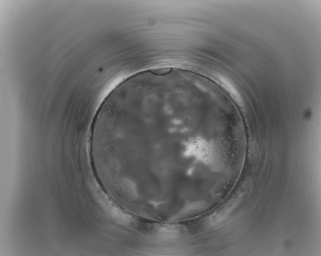 X0000092020899200709131553