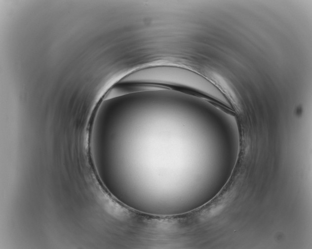 X0000092020900200709131553