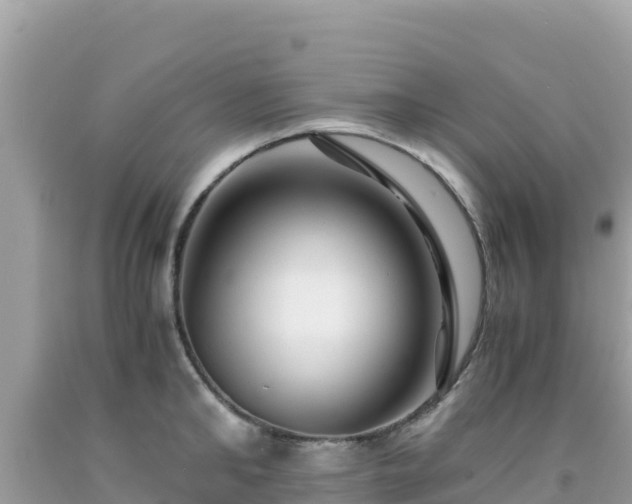 X0000092020902200709131553