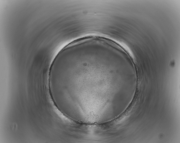 X0000092020903200709131553
