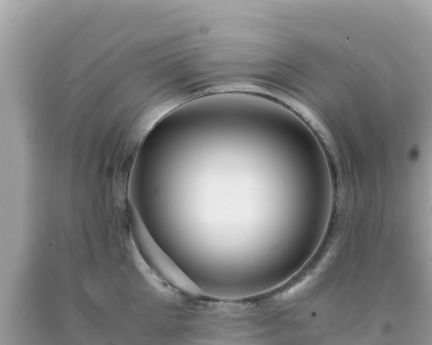 X0000092020905200709131553