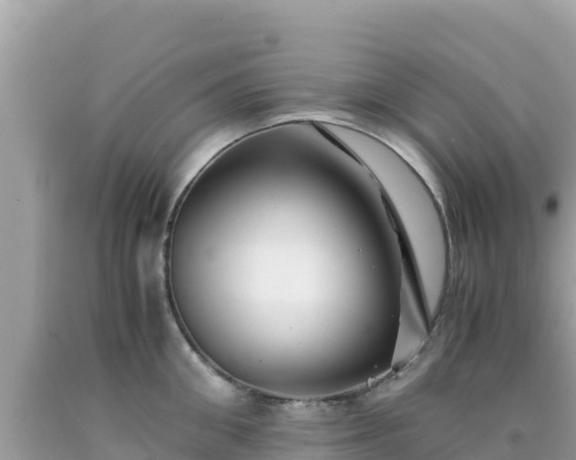 X0000092020906200709131553