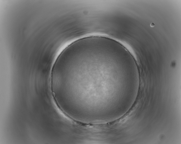 X0000092020911200709131553