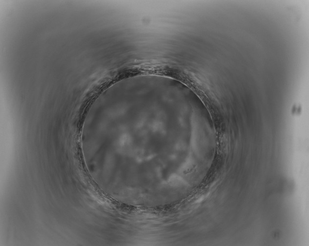 X0000092020913200709131553