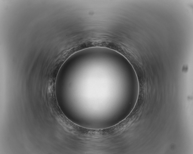 X0000092020914200709131553
