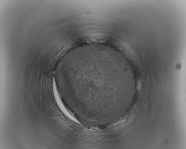X0000092020915200709131553