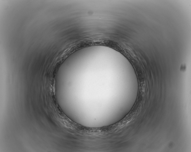 X0000092020916200709131553