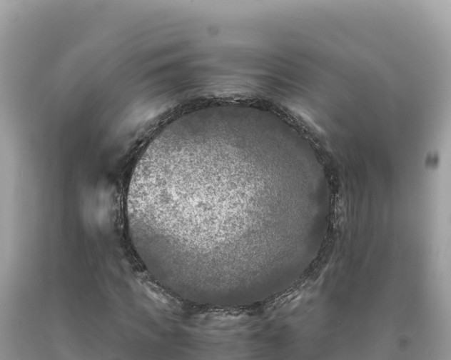 X0000092020917200709131553