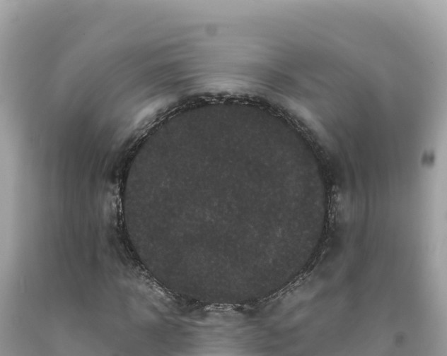 X0000092020918200709131553