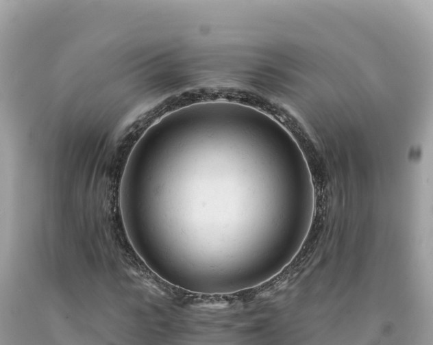 X0000092020919200709131553