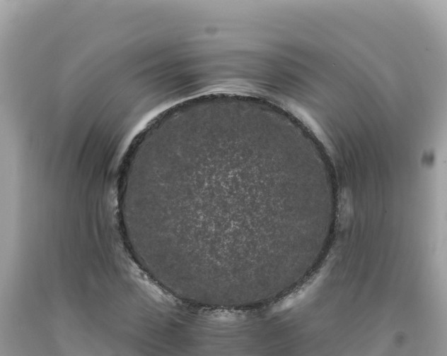 X0000092020923200709131553