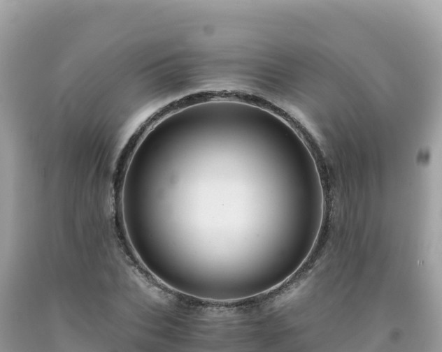 X0000092020927200709131553