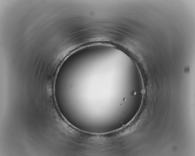 X0000092020929200709131553