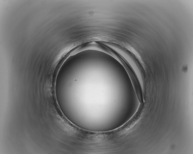 X0000092020930200709131553