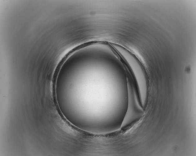 X0000092020932200709131553