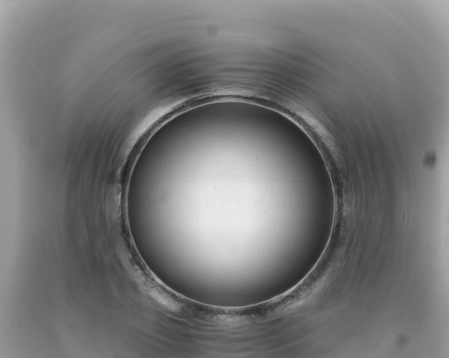 X0000092020933200709131553