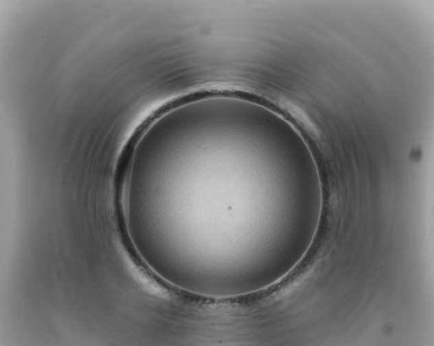 X0000092020934200709131553