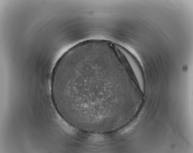 X0000092020935200709131553