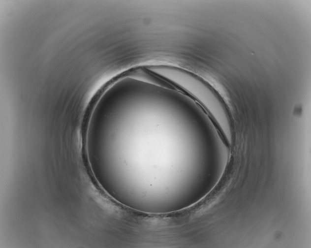 X0000092020936200709131553