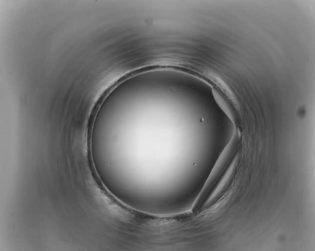X0000092020939200709131553